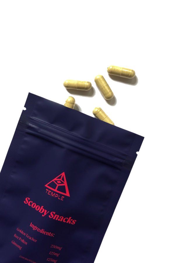 Temple Teleport Sample Pack (20 Pieces Of Magic Mushroom Tea + Chocolate ChocoNaut + Scooby Snacks) - Image 2