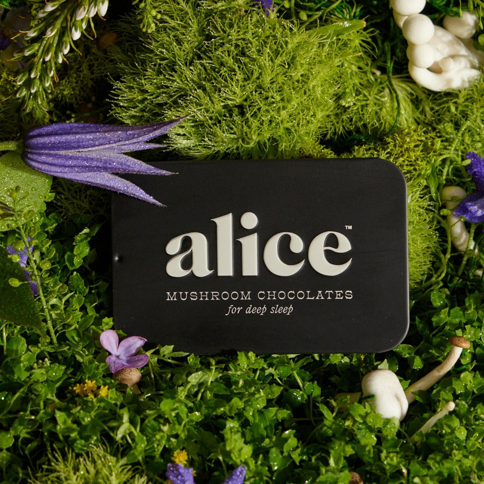 Alice Mushrooms NightCap – 1 Tin (16 Doses) - Image 3